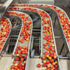 Red apples on conveyor belts